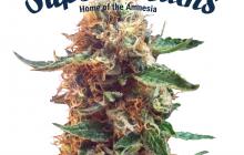 Super Strains - Enemy of the State