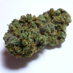 Cannapedia: Critical Kali Mist by Delicious Seeds and we have more tasty marijuana strains, check the web Cannapedia.cz!!