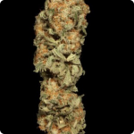 Cannapedia: marihuana strain Allkush by Dinafem seedbank