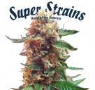 Super Strains - Enemy of the State