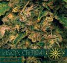 Vision Critical Auto by Vision Seeds