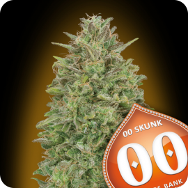 00 Skunk by 00 Seeds